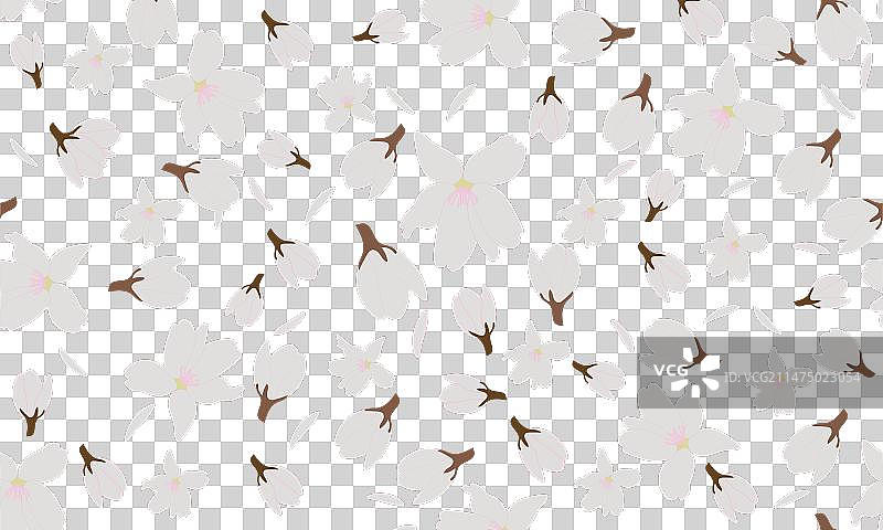 苹果树花朵元素图案图片素材