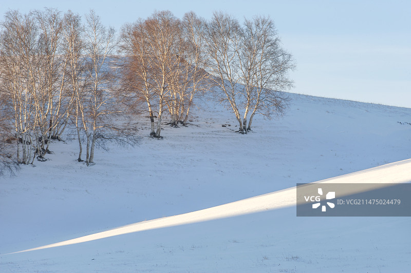 克什克腾旗桦木沟的冬天图片素材