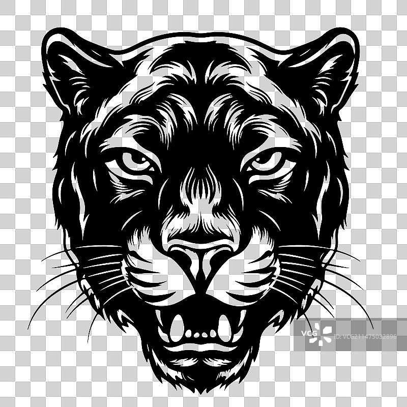 手绘黑豹肖像图片素材