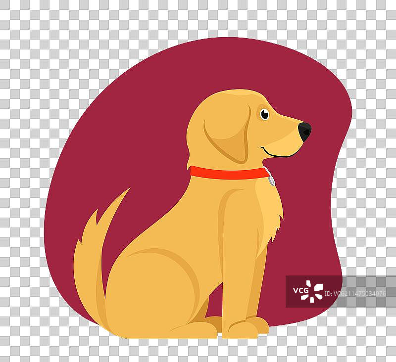 可爱的狗狗肖像图片素材