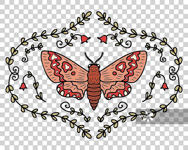 树叶鲜花框中的鹰蛾图片素材