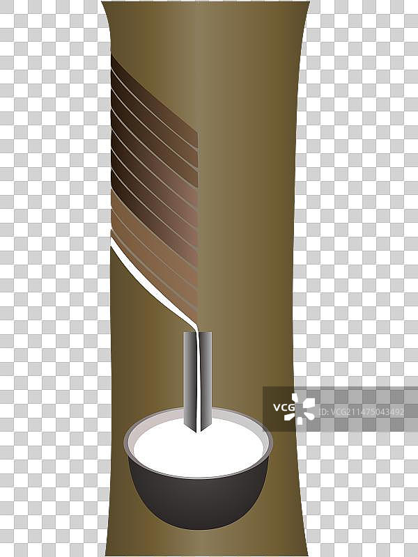 从橡胶树中提取的橡胶乳胶图片素材