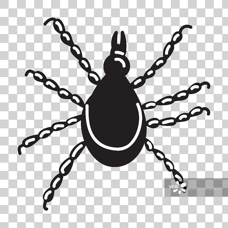 寄生虫病：阴虱图片素材