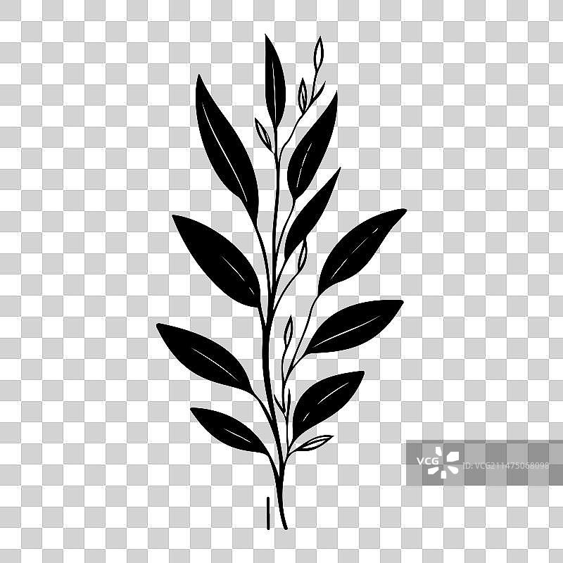 百合科植物图标手绘黑色植物叶子图片素材