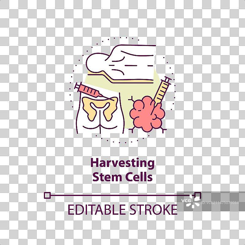 简单的彩色收获干细胞图片素材