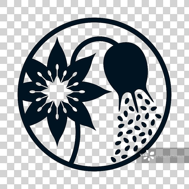 黑色种子 -  Nigella Sativa花朵扁平图标图片素材