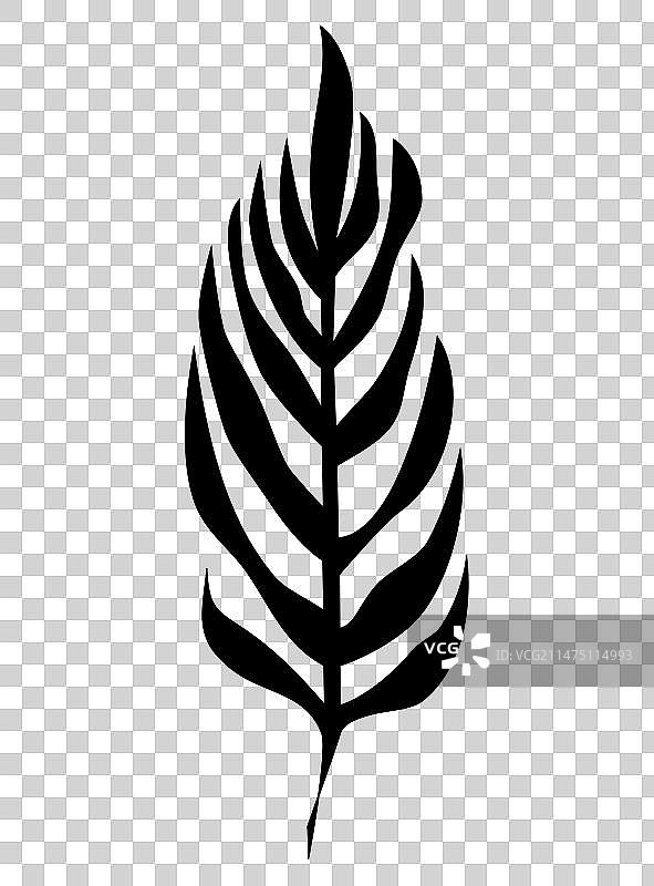 白色背景上的热带棕榈叶线条艺术图片素材