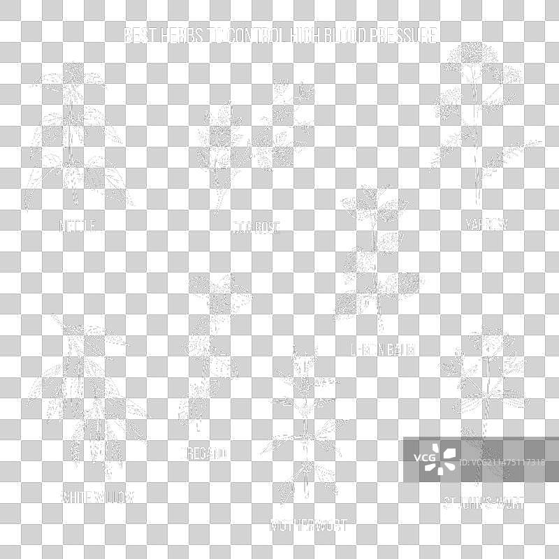 控制高血压的优质草药图片素材