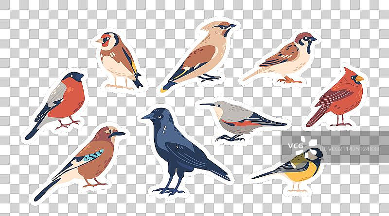 欧洲秋冬鸟类贴纸合集图片素材