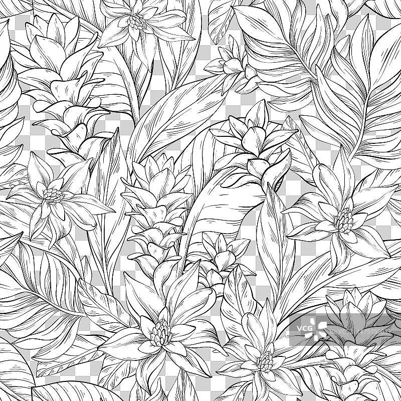 姜花无缝图案轮廓图片素材