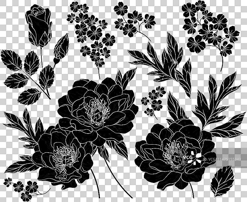 牡丹花和叶子剪影合集图片素材