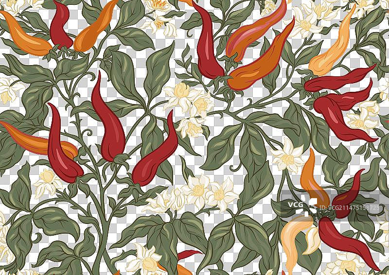 带果实和花朵的辣椒植物图片素材