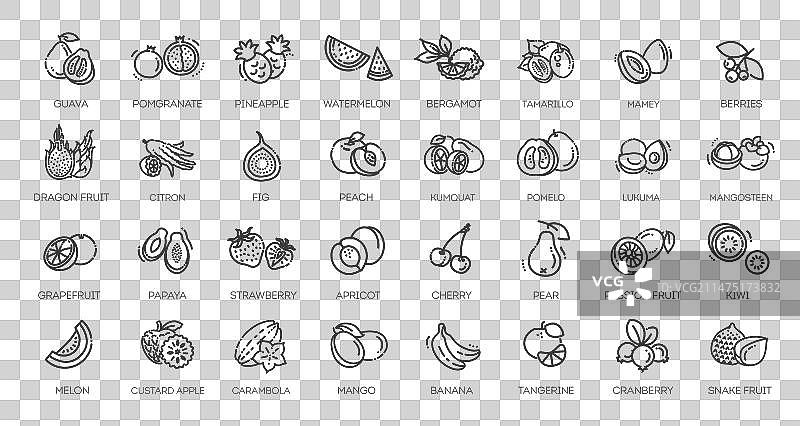 健康水果细线图标合集图片素材