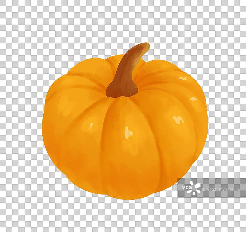 健康蔬菜南瓜插画元素图片素材