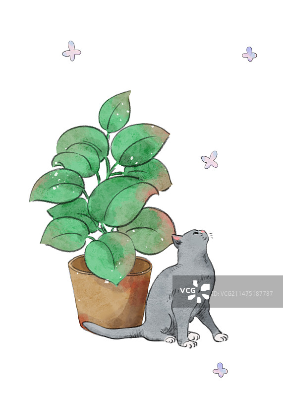 绿萝与猫图片素材