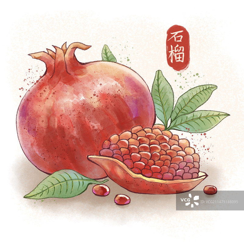 石榴水果水彩插画图片素材