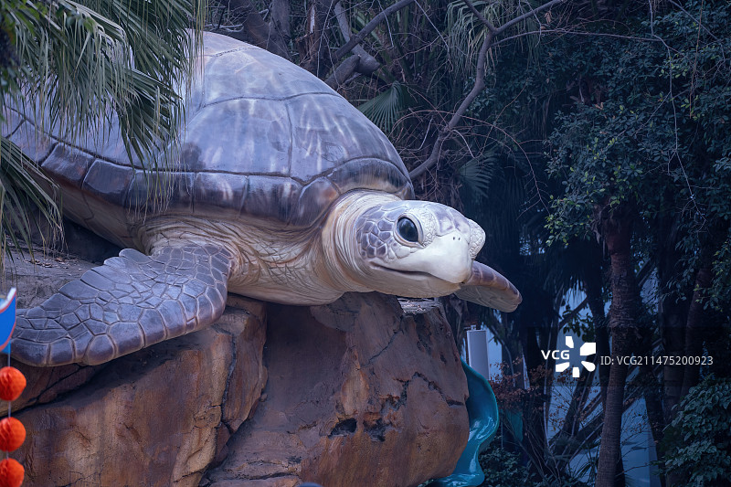 四川成都极地海洋公园海龟塑像图片素材