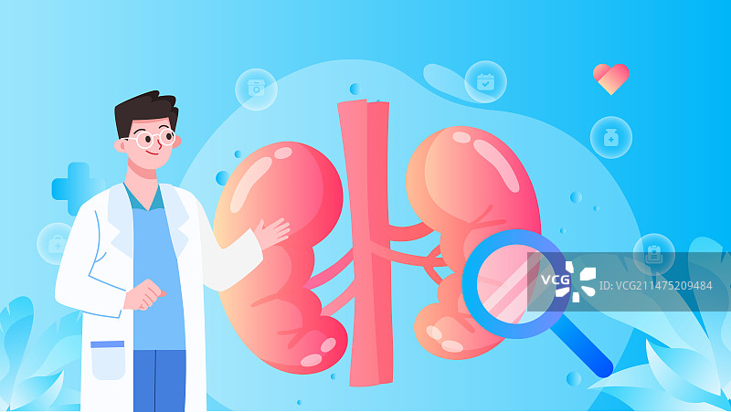 泌尿外科和肾脏疾病咨询矢量插画图片素材