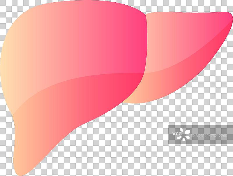 卡通医疗肝脏治疗健康插画元素图片素材