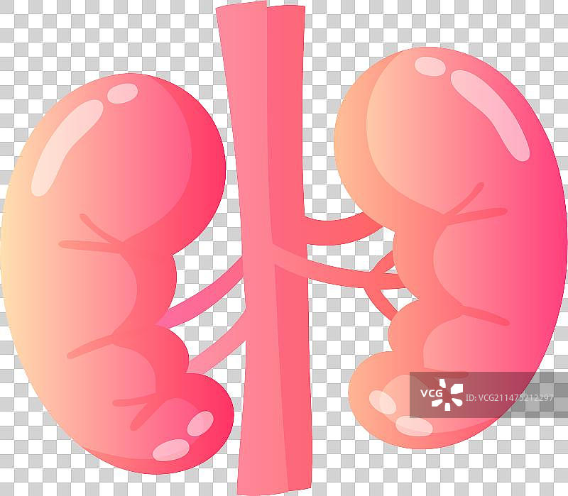 卡通医疗肾脏治疗健康插画元素图片素材