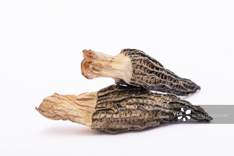 棚拍白底静物山珍食用菌羊肚菌菇图片素材