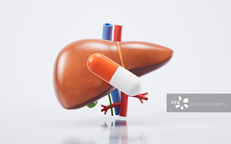 肝脏器官与生物医学3D渲染图片素材