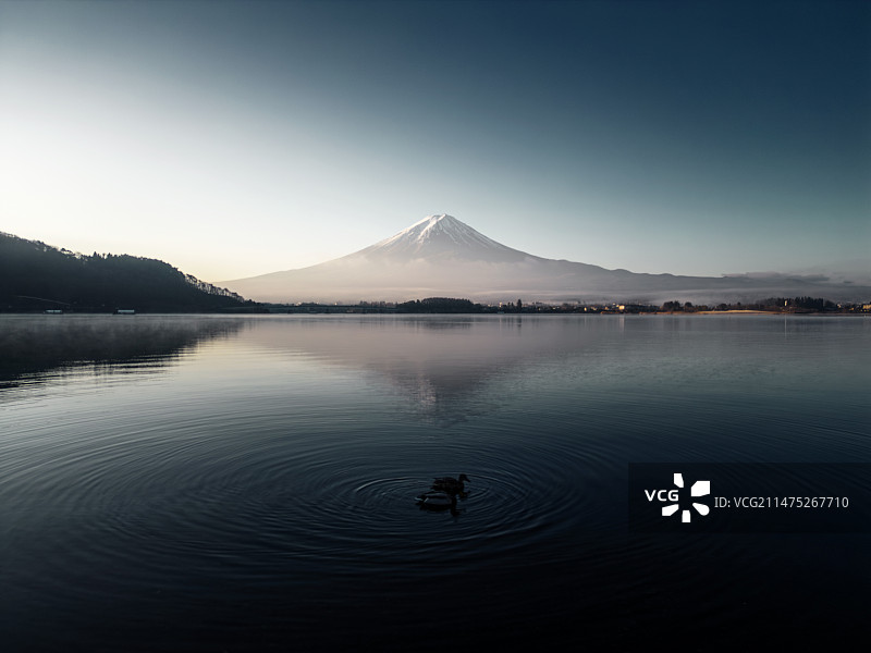 日本富士山河口湖天鹅倒影图片素材