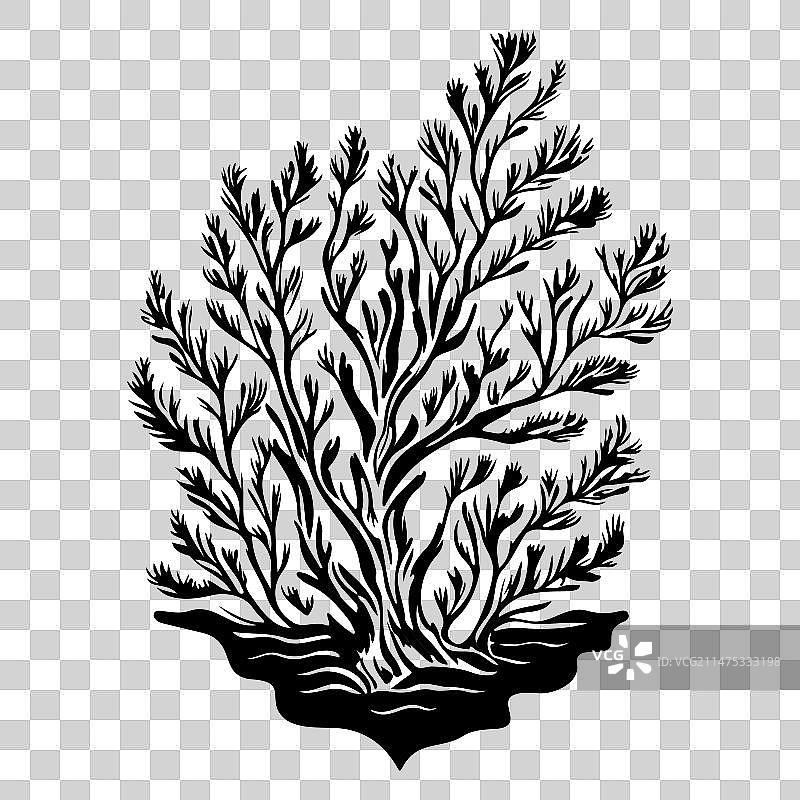 手绘黑色鹿角珊瑚标志图片素材