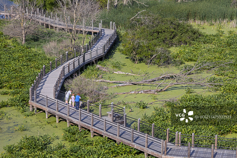 美国密歇根湖加利恩河沼泽图片素材