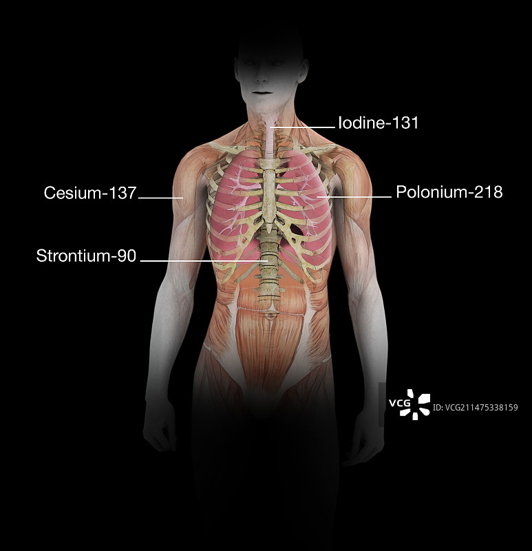影响人体的放射性同位素插图图片素材