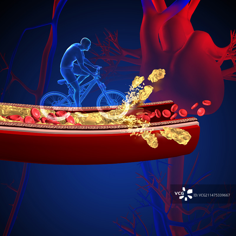 胆固醇示意图图片素材