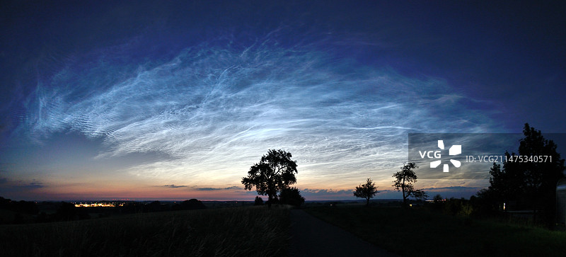 树木上空的夜光云图片素材