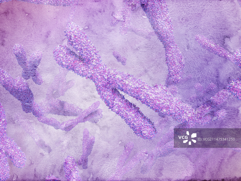 染色体插图图片素材