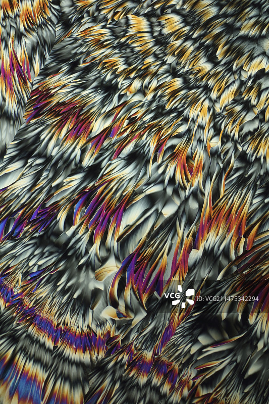 丙氨酸和谷氨酰胺晶体显微照片图片素材