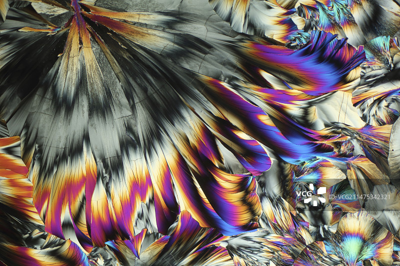 丙氨酸和谷氨酰胺晶体显微照片图片素材