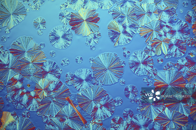 丙氨酸和谷氨酰胺晶体显微照片图片素材