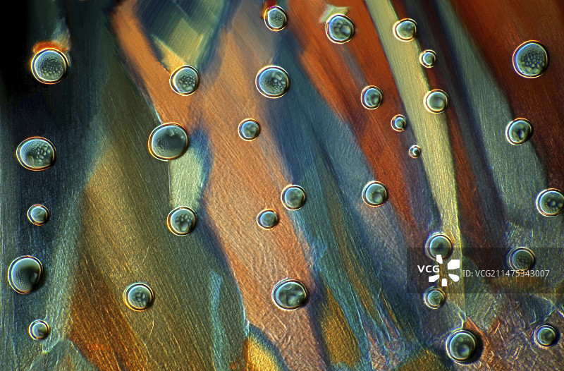 酒石酸晶体的显微照片图片素材