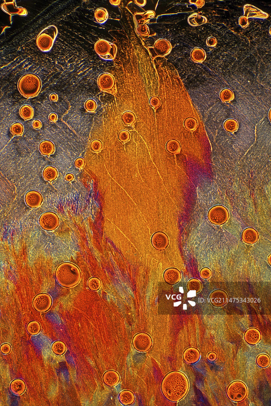 酒石酸晶体的显微照片图片素材