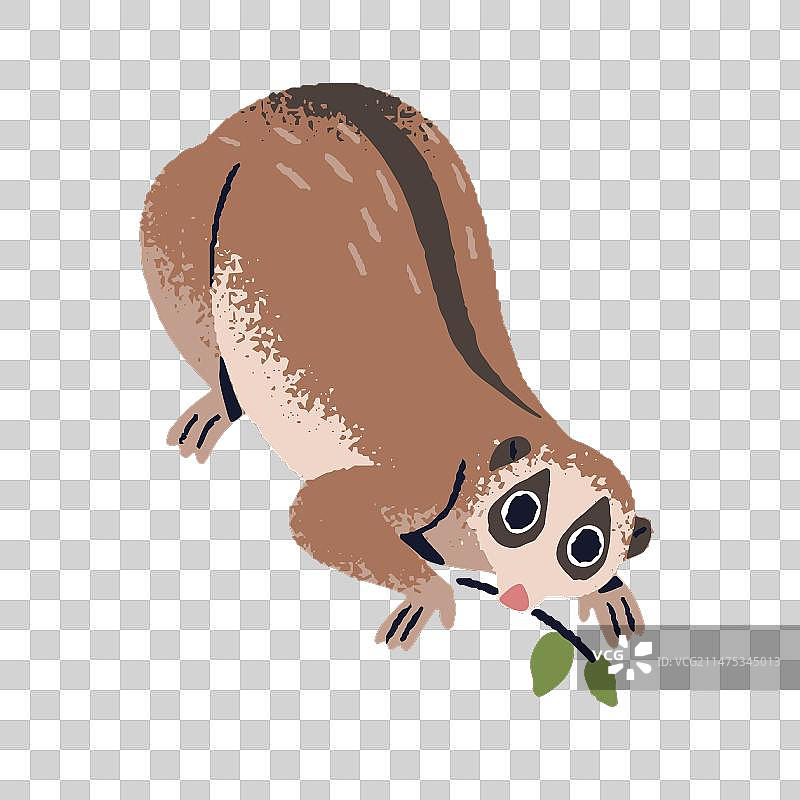 树枝上的慢吞吞的懒猴可爱的狐猴与大图片素材