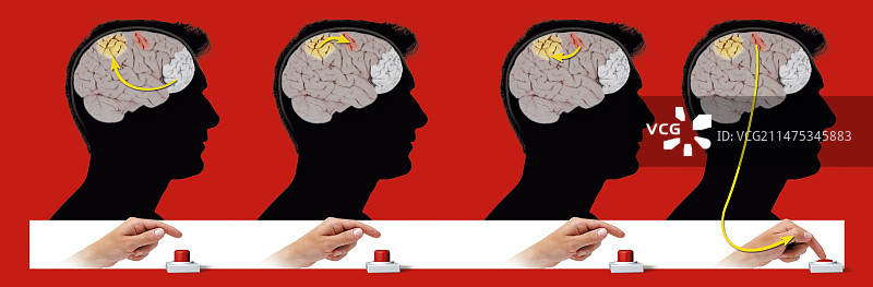 运动皮层脑通路图示图片素材