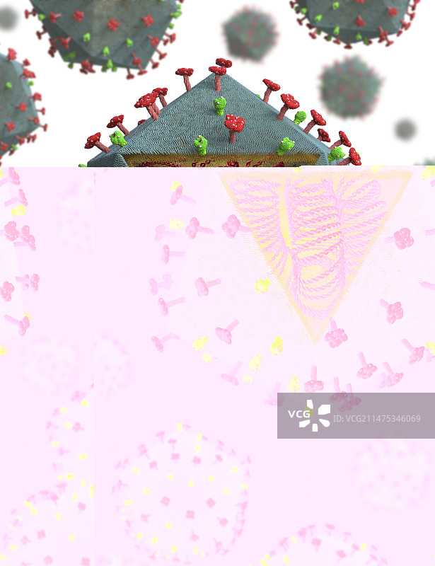 非洲猪瘟病毒颗粒图图片素材