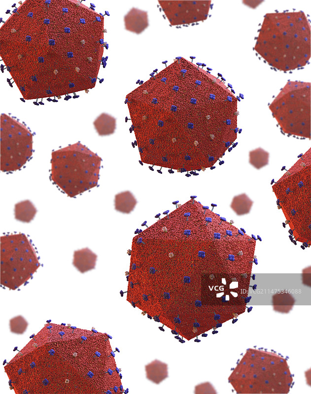 非洲猪瘟病毒颗粒图图片素材