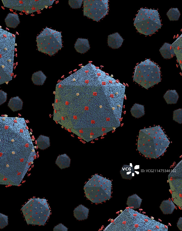 非洲猪瘟病毒颗粒图图片素材