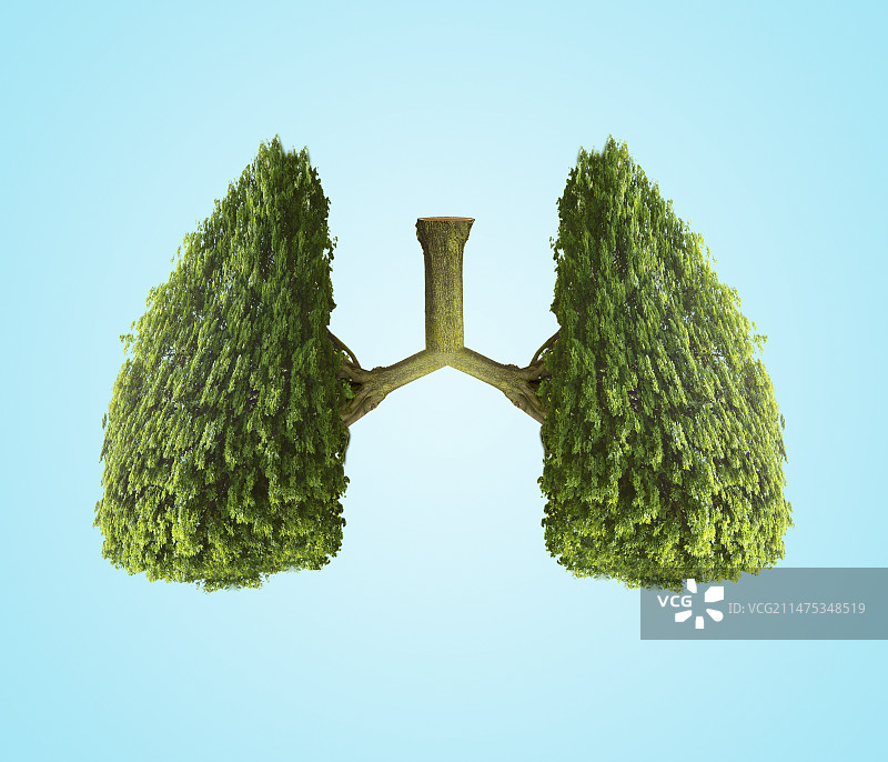 地球之肺，概念图图片素材