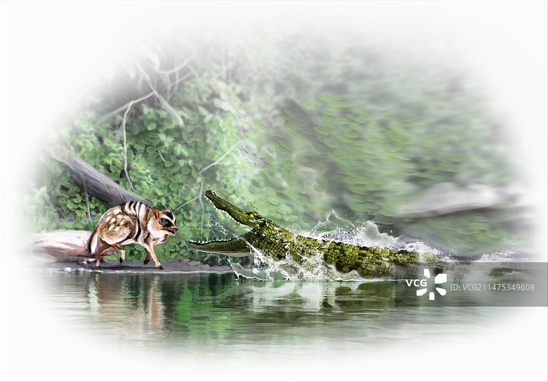 史前鳄鱼捕食猎物插画图片素材