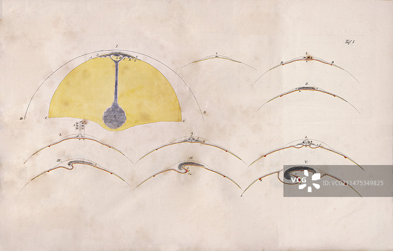 冯·贝尔的比较胚胎学,1828年图片素材