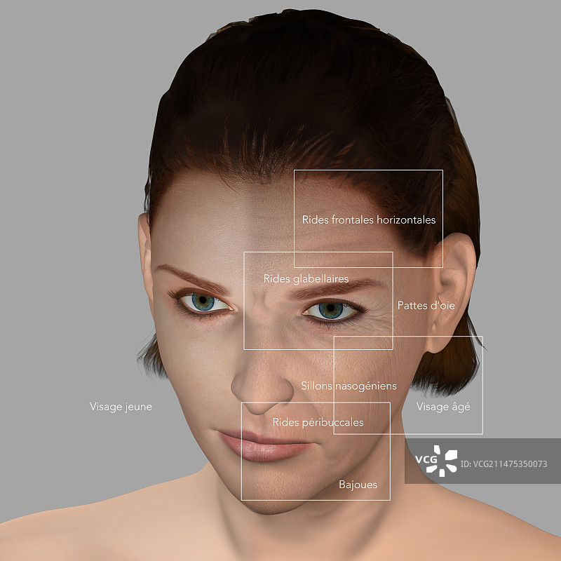 皮肤老化插图图片素材