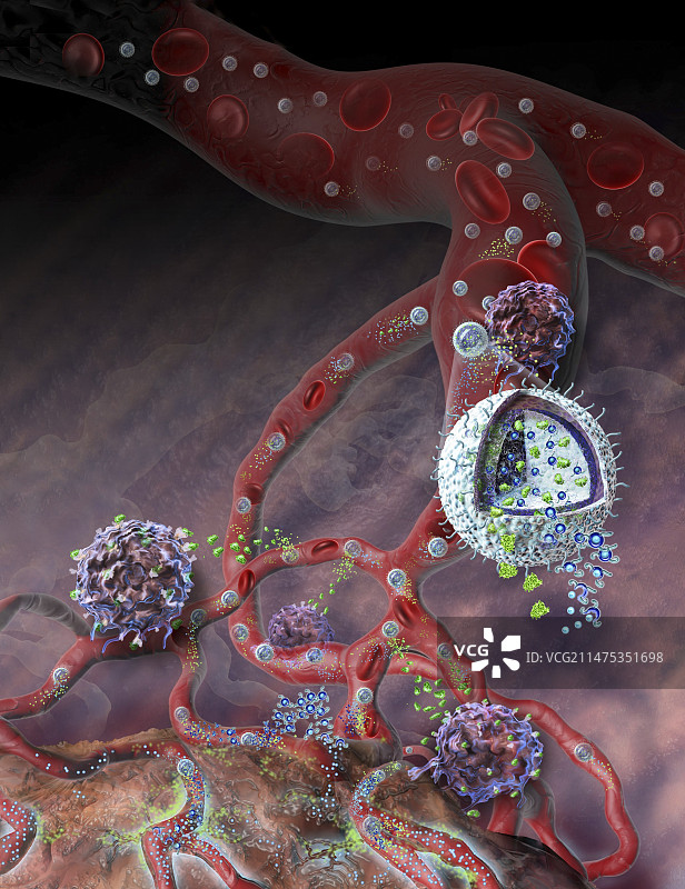 输送抗癌药物的纳米脂质凝胶图片素材