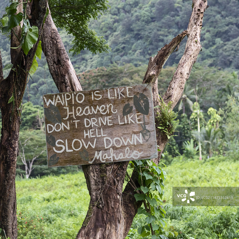 美国夏威夷威庇欧山谷图片素材