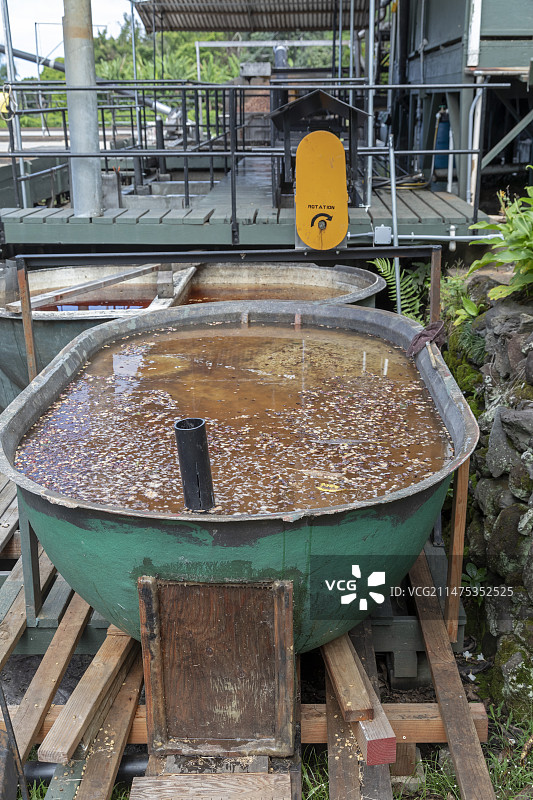 夏威夷咖啡农场，美国图片素材